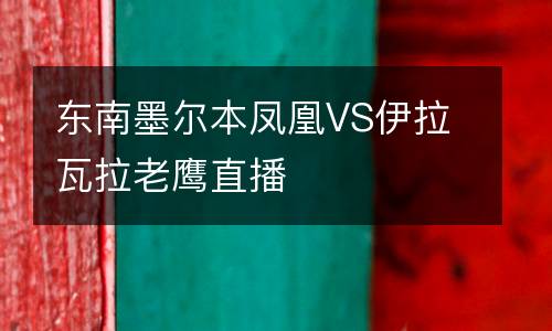 東南墨爾本鳳凰VS伊拉瓦拉老鷹直播